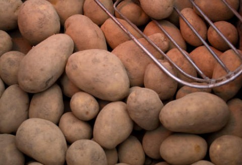 Liban – Wznowienie eksportu ziemniaków do Unii Europejskiej
