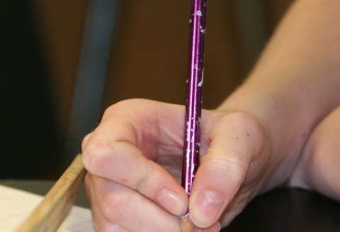 Ponad 35,8 miliardów złotych wypłaciła ARiMR z PROW 2007-13. Polska jest liderem realizacji Programu w Unii Europejskiej.