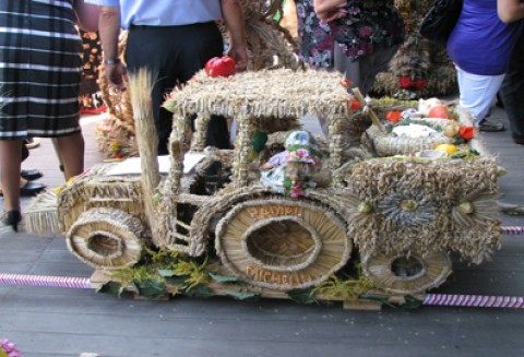 Dożynki wojewódzkie udane - plony mniej