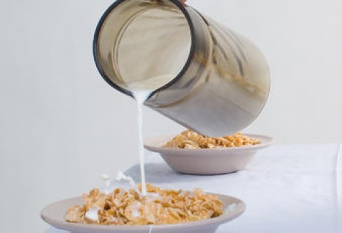 Wzrośnie światowa produkcja mleka