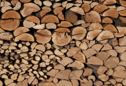 Konferencja „Udział biomasy w realizacji celów Dyrektywy 2009/28/WE”