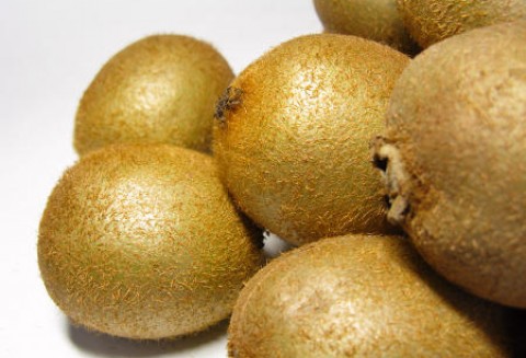 Nowa Zelandia – Spadek zbiorów kiwi