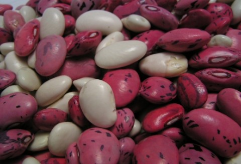 Ukraina – Embargo na unijne warzywa strączkowe