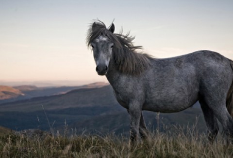 X Pożegnanie Wakacji w Rudawce Rymanowskiej