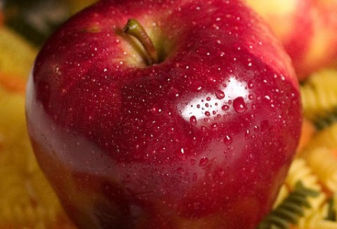 Eksport jabłek na Wschód nadal stoi w miejscu pomimo nawiązanego porozumienia