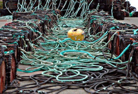 Wybór lokalnych grup rybackich