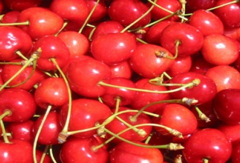 Owoce i warzywa w szkole - Promocja zdrowego odżywiania w szkołach