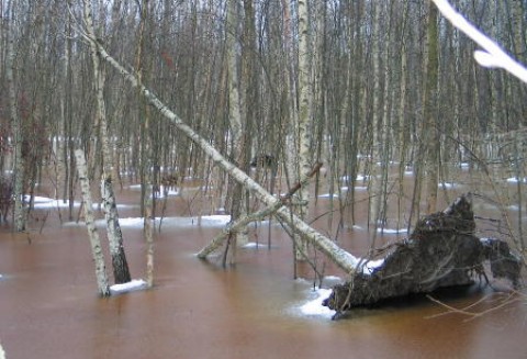 Wraz z nadejściem wiosny powraca temat powodzi