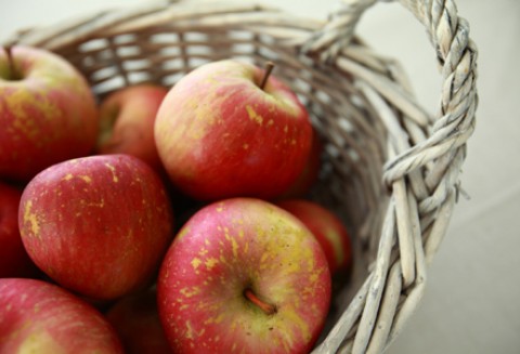 Lista szkół zgłoszonych do programu 