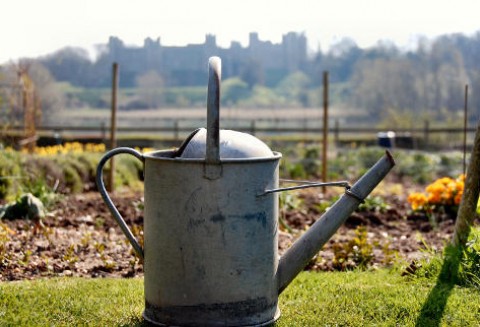 Los ogródków działkowych został rozstrzygnięty