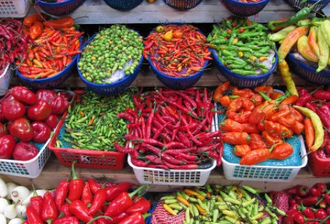 Macedonia – Wzrost produkcji przetworów owocowo-warzywnych