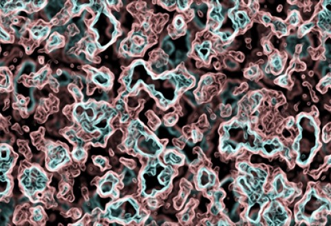 Cenne odkrycie dla rozwoju sektora biopaliw