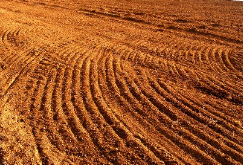 Atrakcyjne grunty pod Kielcami