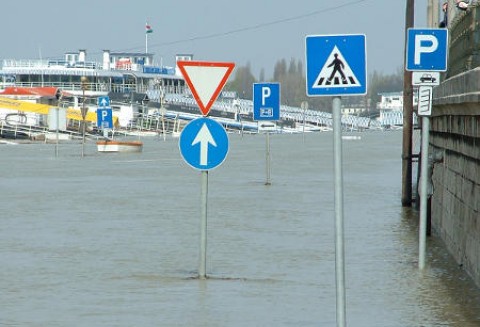 Dobiega końca nabór wniosków o wsparcie na odbudowę gospodarstw zniszczonych przez powodzie