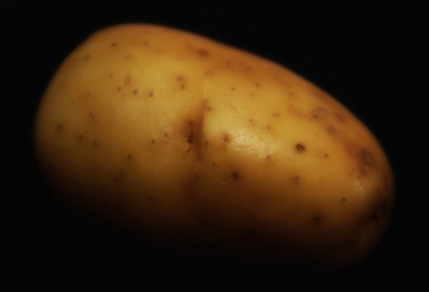 Rosja – Import egipskich ziemniaków będzie przywrócony?