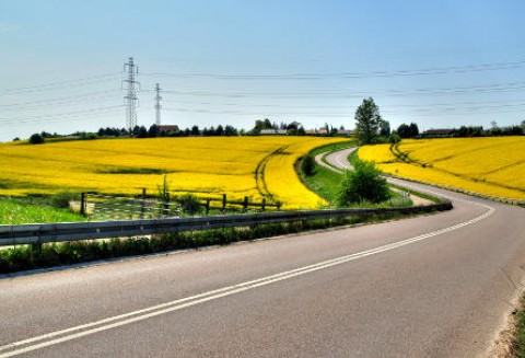 Ceny oleistych na giełdach światowych – 28.03.2012