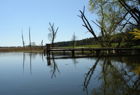 Atrakcyjne grunty na Warmii