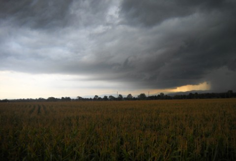 Pomoc dla poszkodowanych w wyniku niekorzystnych zjawisk atmosferycznych w ramach PROW 2007 - 2013