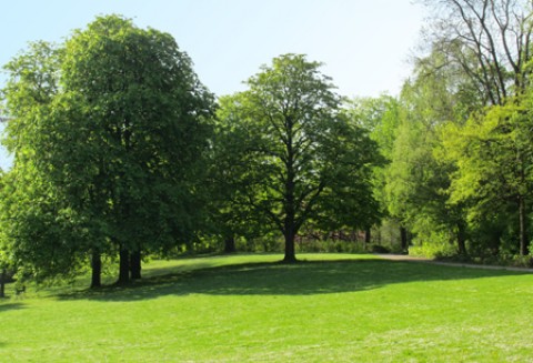 Agencja wspiera rozwój turystyki