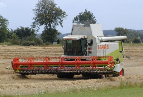 Wspólne stanowisko w sprawie WPR