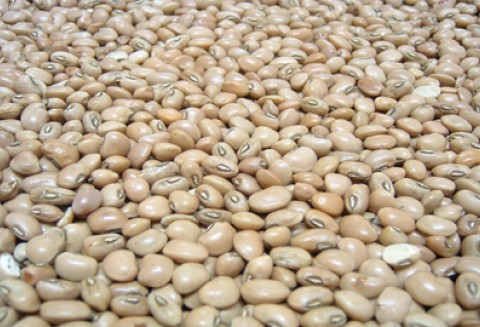 Piękny Jaś z Doliny Dunajca ze znakiem ChNP