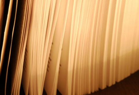 Program promocji biopaliw zgodny z ustawą okołobudżetową